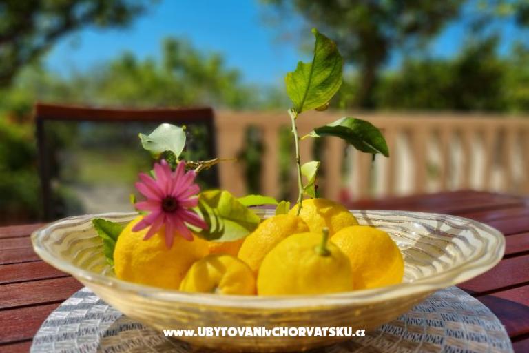 Appartamenti Diridonda – foto 46