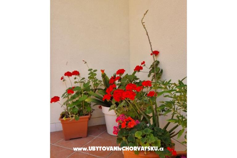 Appartamenti Diridonda – foto 48
