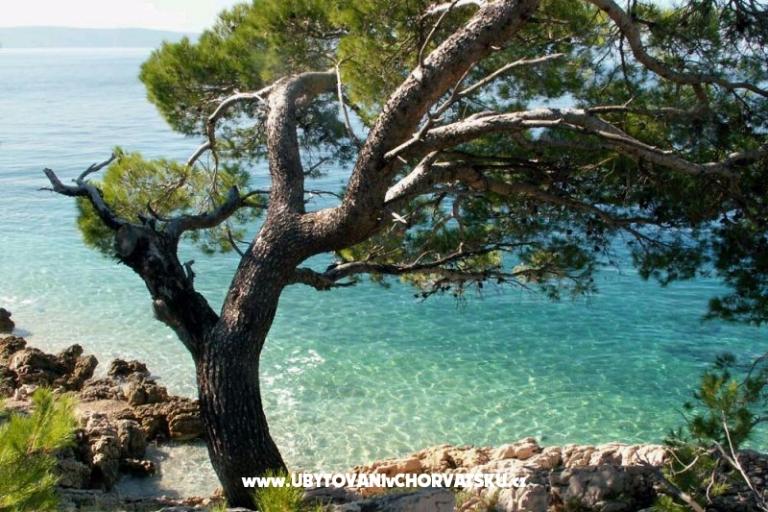 Appartamenti Milka i Jozo – foto 14