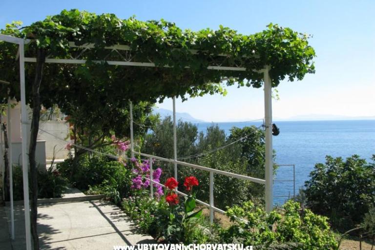 Appartamenti More – foto 10