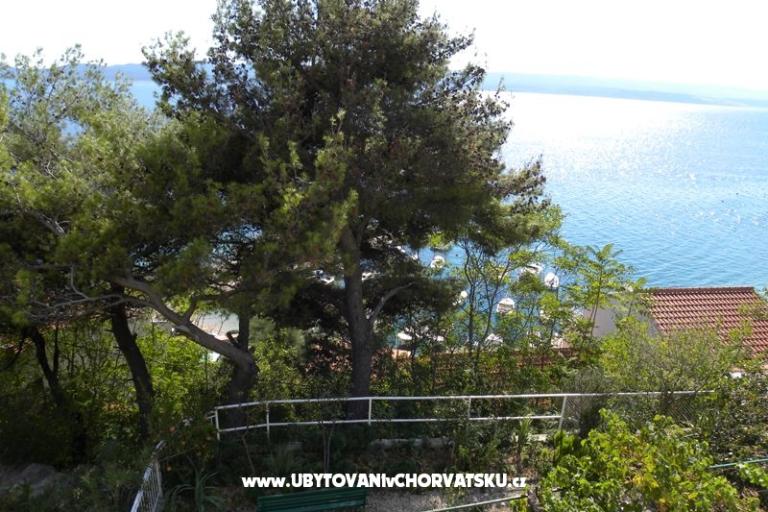 Boženka Casa – foto 4