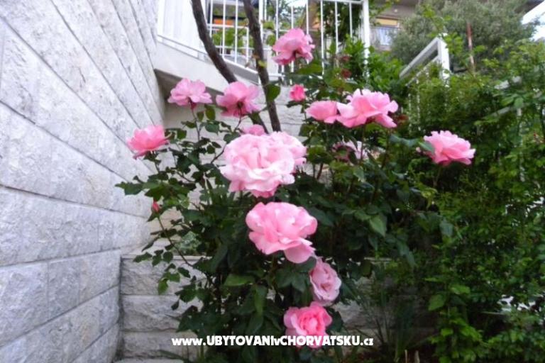 Boženka Casa – foto 6