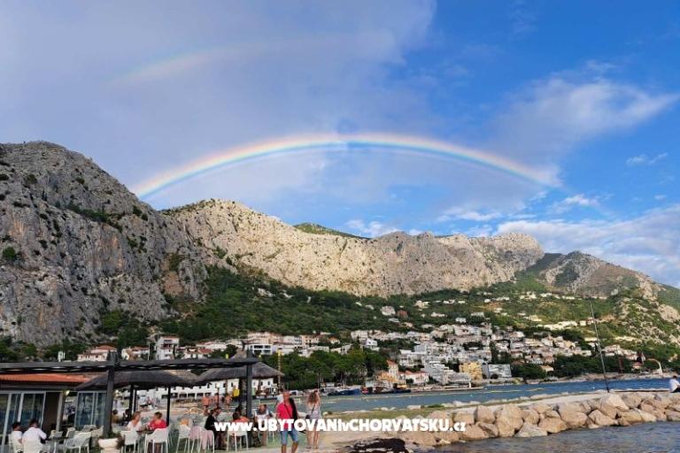  Calypso Diving Appartamenti – foto 17