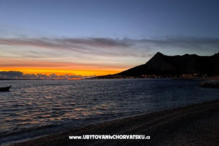  Calypso Diving Appartamenti – foto 18