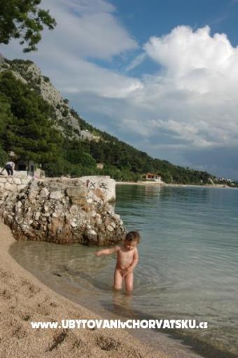  Calypso Diving Appartamenti – foto 8