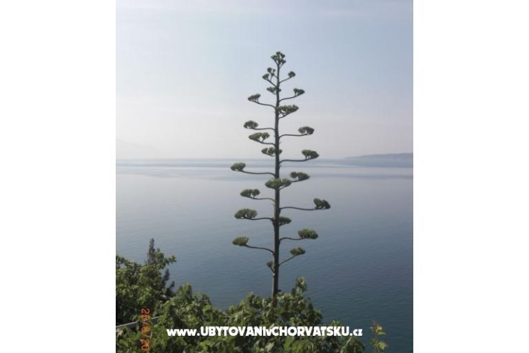 Appartamenti Culjak  Omiš Marušići – foto 3