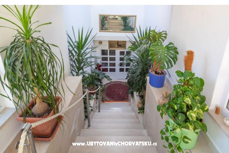 Family Camere & Appartamenti Omis – foto 10
