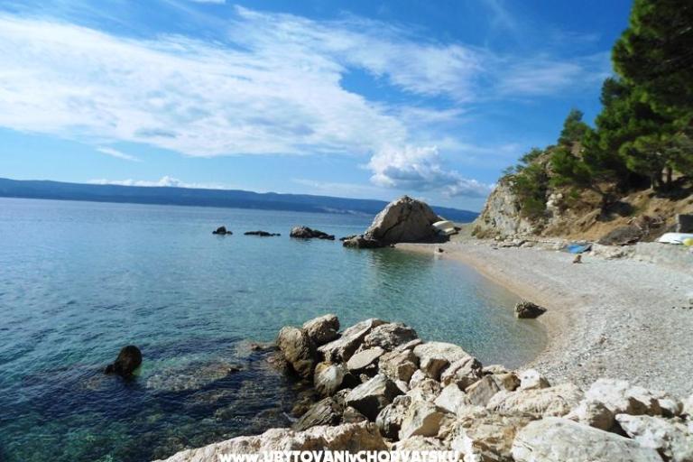 Appartamenti Punta – foto 3