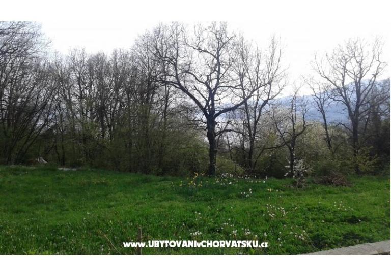 Appartamento AS ROYAL – foto 4