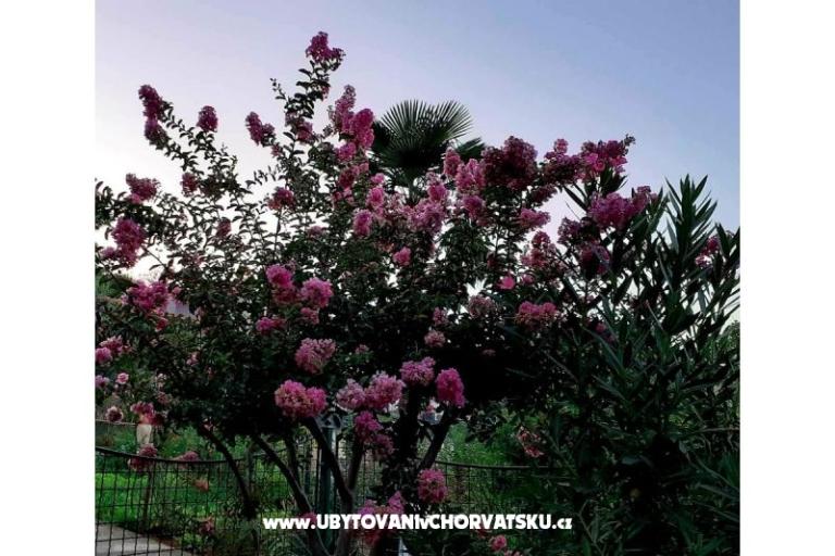 Appartamento Rubin – foto 16