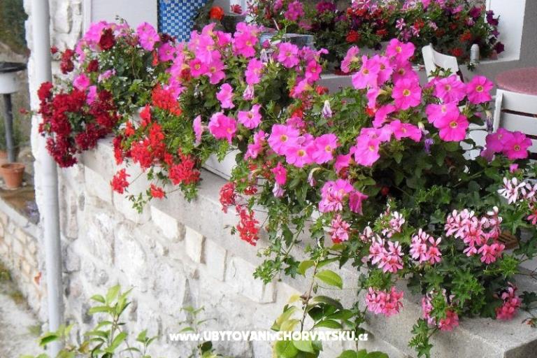 Appartamenti Kestenovi dvori – foto 15