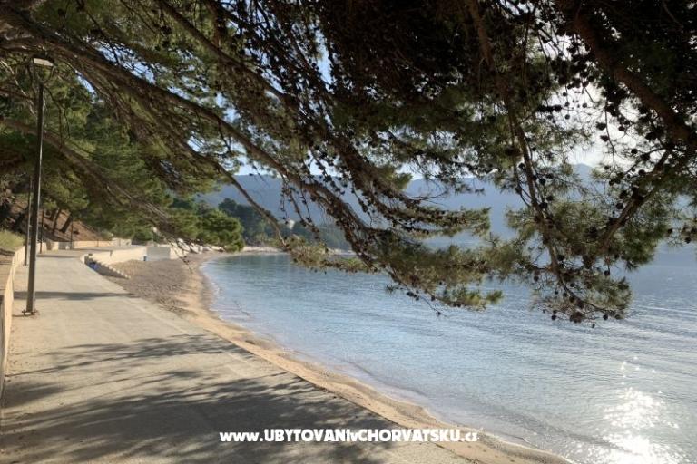 Appartamenti  Ante – foto 13