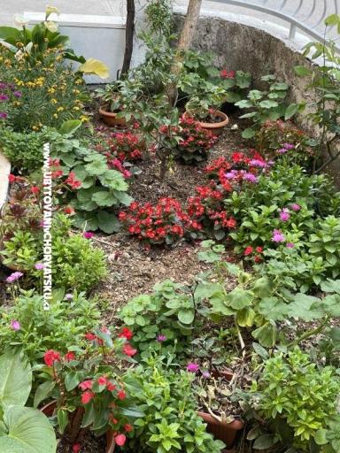 Appartamenti  Ante – foto 26