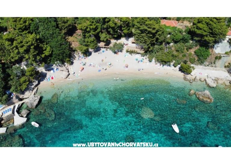Appartamenti Ponta – foto 6