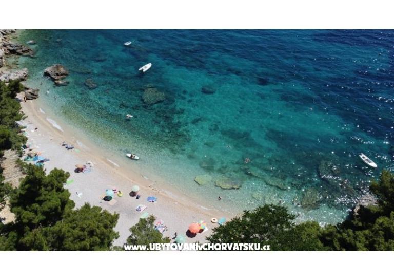 Appartamenti Ponta – foto 9