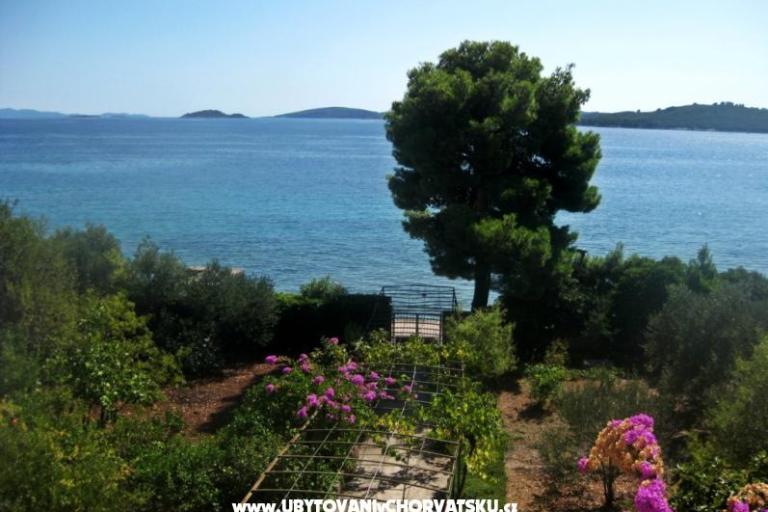 Appartamenti Šurjak – foto 3