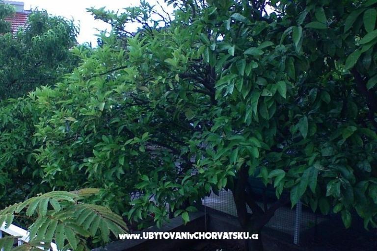 Appartamenti Zorka – foto 13