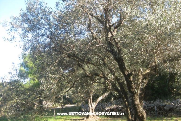 Appartamenti Mratović – foto 14