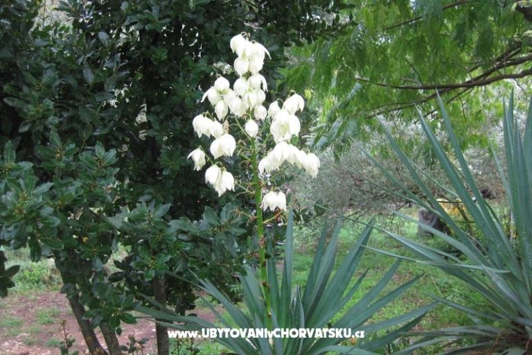 Appartamenti Mratović – foto 17