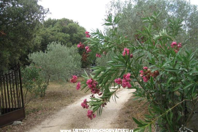 Appartamenti Mratović – foto 8