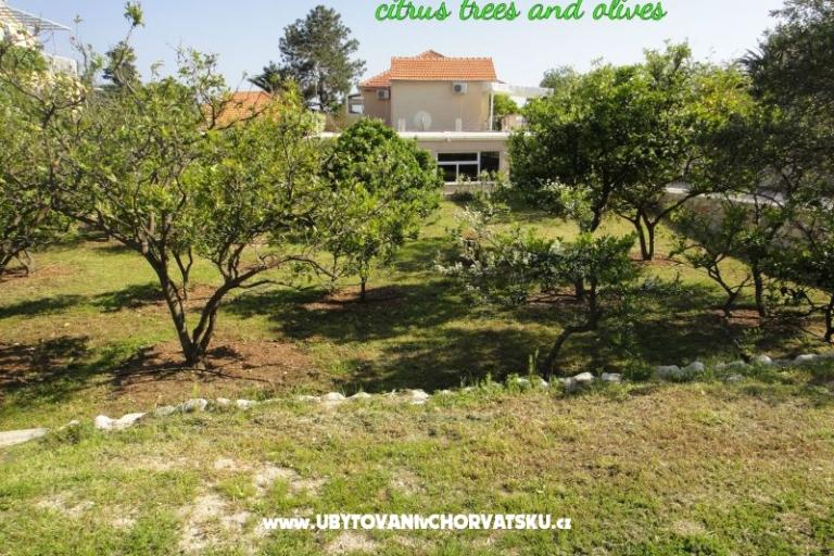 Appartamenti Pretner – foto 14