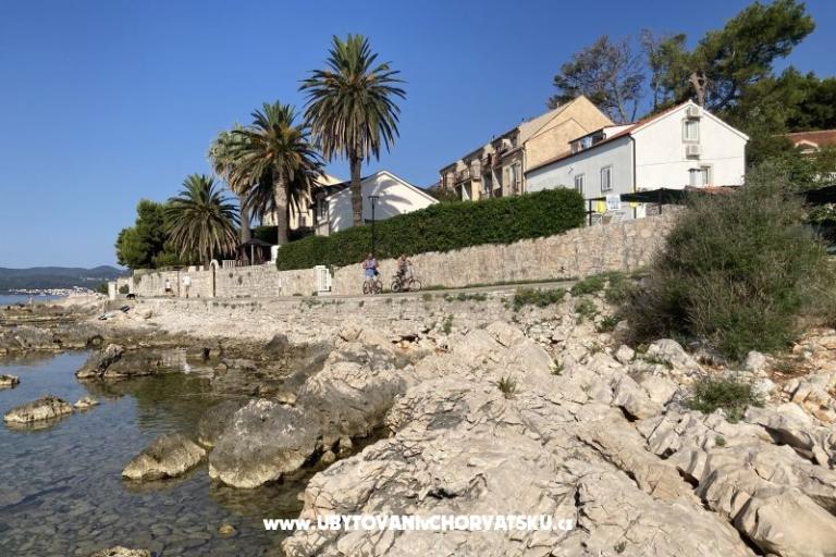 Appartamenti Ruvo – foto 15