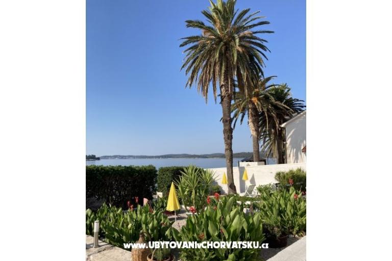 Appartamenti Ruvo – foto 6