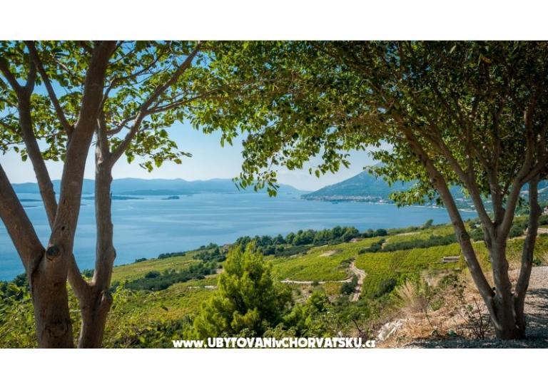 Appartamenti Sveti Anton Orebic – foto 10