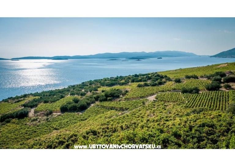 Appartamenti Sveti Anton Orebic – foto 12