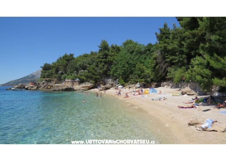 Campeggio &amp; Appartamenti Vala – foto 11