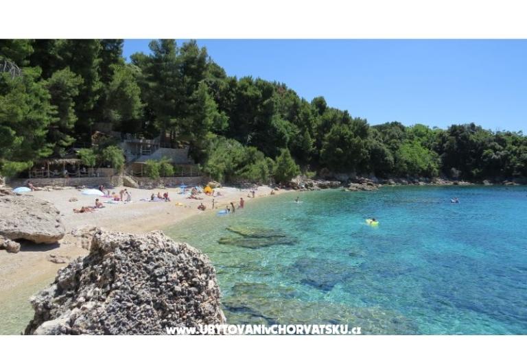 Campeggio &amp; Appartamenti Vala – foto 8