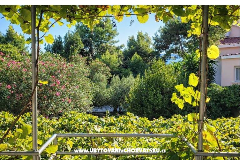Casa  Mokalo – foto 16