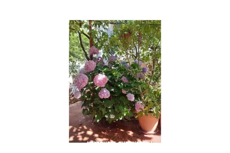 Appartamento Braco – foto 39