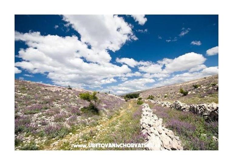 Appartamentodre – foto 9