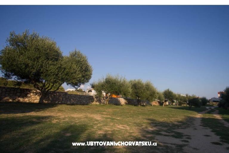 Appartamenti Dobre – foto 13