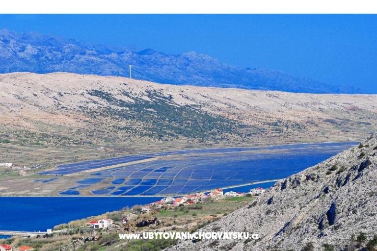 Appartamenti Filip – foto 8
