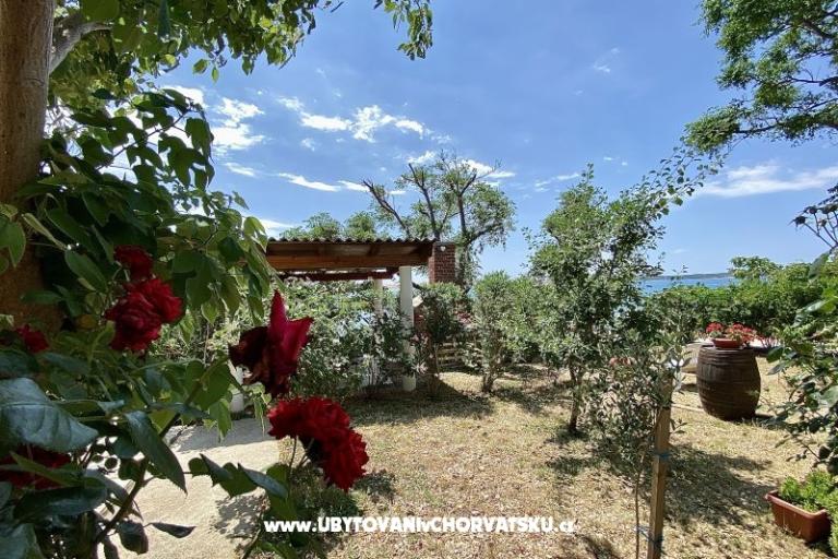 Appartamenti FRANE – foto 24