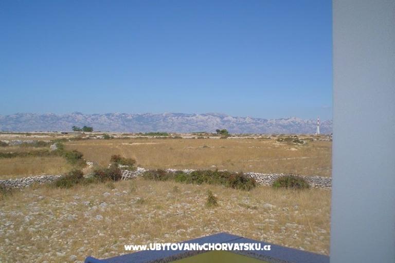 Appartamenti IVA(iza kampa) – foto 9
