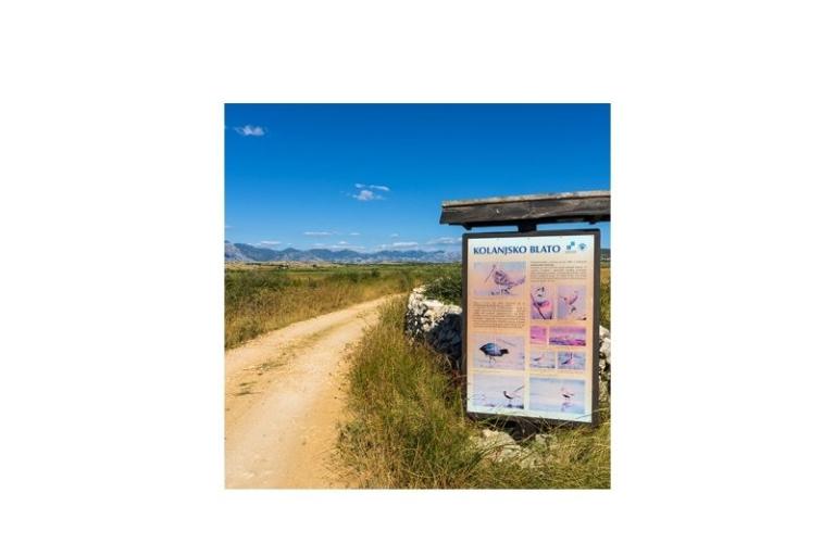 Appartamenti Mara – foto 12