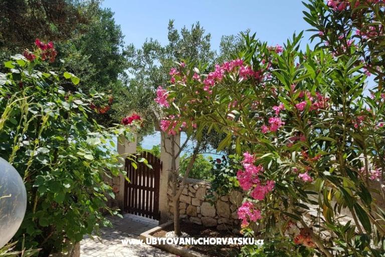 Appartamenti Milena i Robert – foto 2