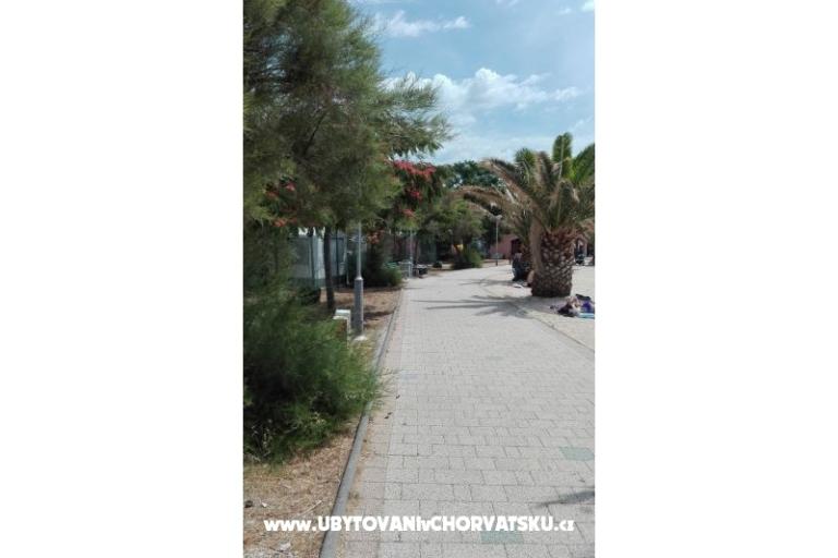 Appartamenti Petra – foto 5