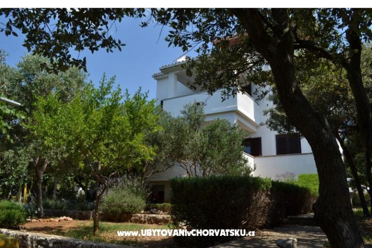 Appartamenti Salvia island Pag Mandre – foto 14