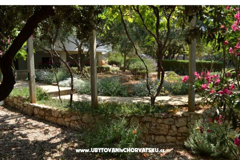 Appartamenti Salvia island Pag Mandre – foto 15