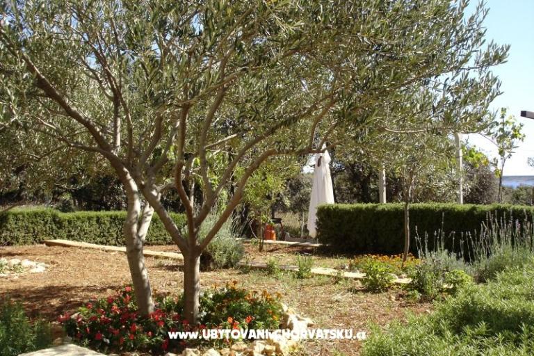 Appartamenti Salvia island Pag Mandre – foto 18