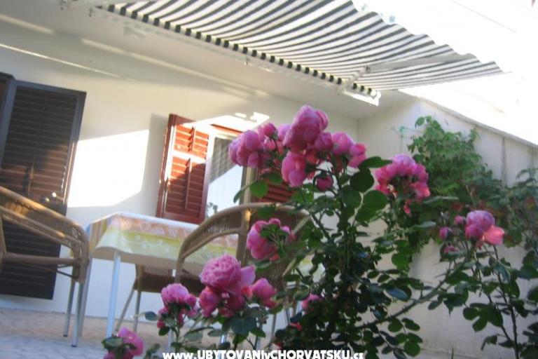 Appartamenti Vidolin – foto 7