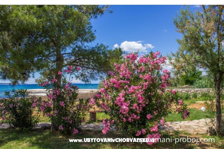 Appartamenti Proboj – foto 16