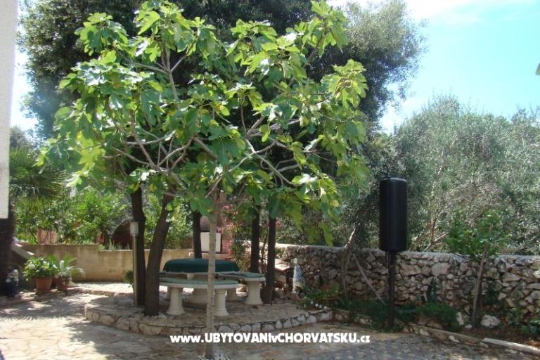 Appartamenti Mandre – foto 2