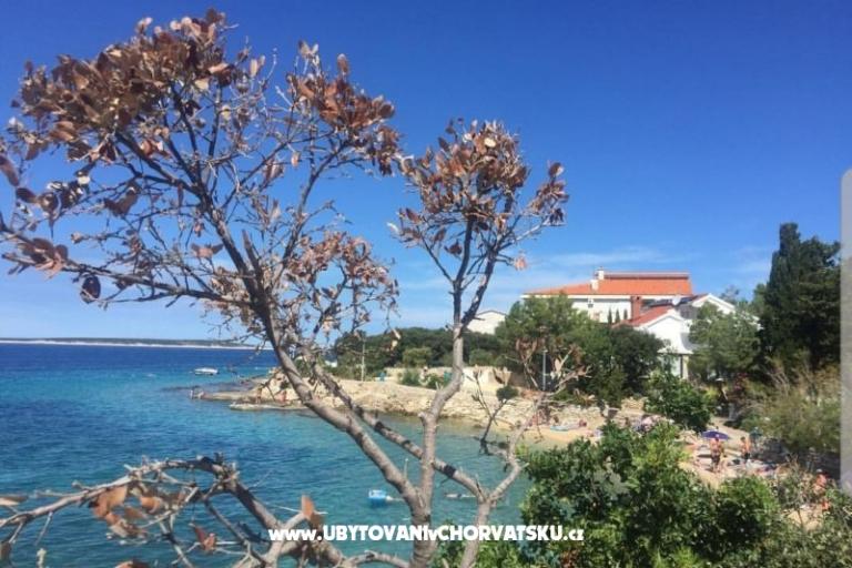 Appartamenti Mandre – foto 6
