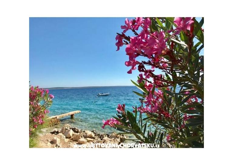 Appartamenti Villa Ana – foto 16