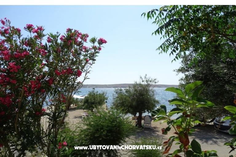 Appartamenti VIVIEN (9x) – foto 3